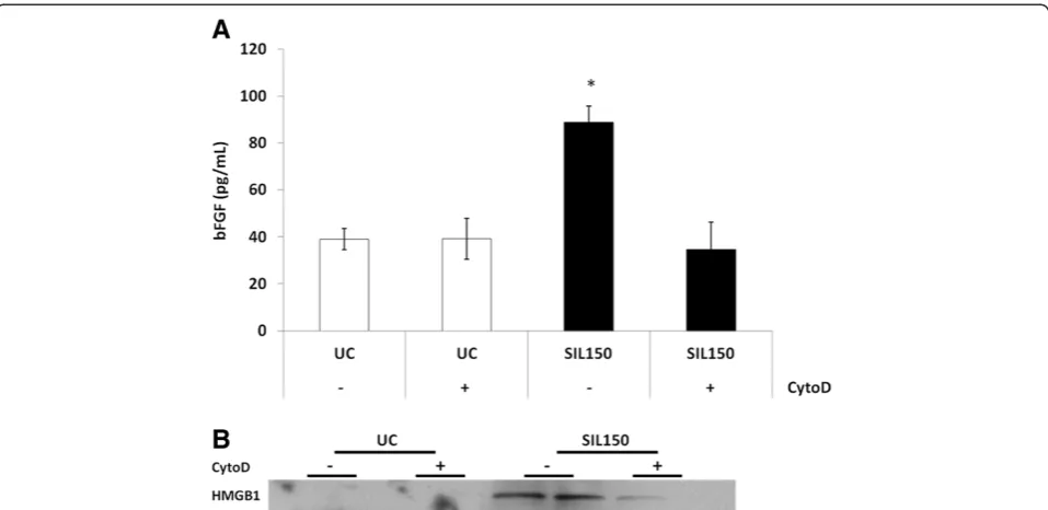 Figure 5 bFGF and HMGB1 release are particle uptake dependent. ELISA was performed on medium of BEAS-2B either or not pretreatedwith 0.5 μg/mL cytochalasin D for 1h measuring levels of bFGF release (A)