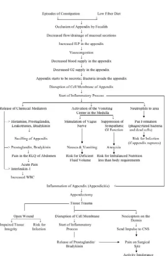 Fig:5 Representative algorithm of pathophysiology 