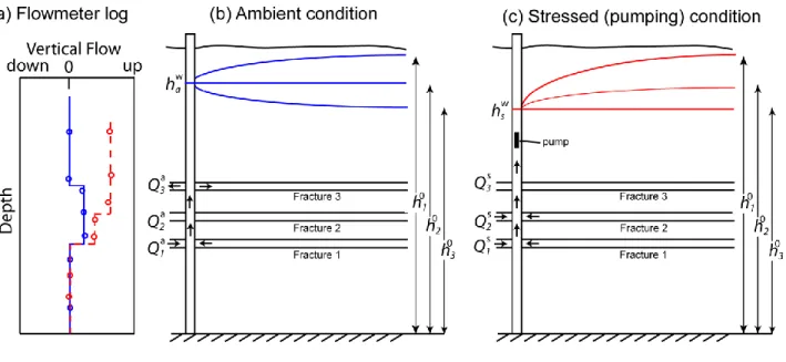 Figure 1.  Schematic of flowmeter experiment in a fractured-rock aquifer, with (a) flow-log profiles for ambient  (blue) and stressed (dashed red) conditions;  and conceptual cross sections of flow system for (b) ambient  condition and (c) stressed conditi