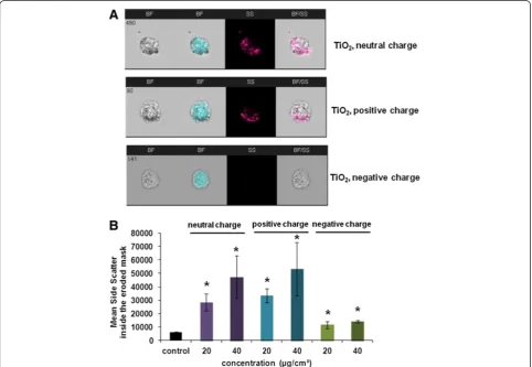 Figure 11 Internalization of TiO2 NPs by NCI-H292 cells analyzed by imaging flow cytometry