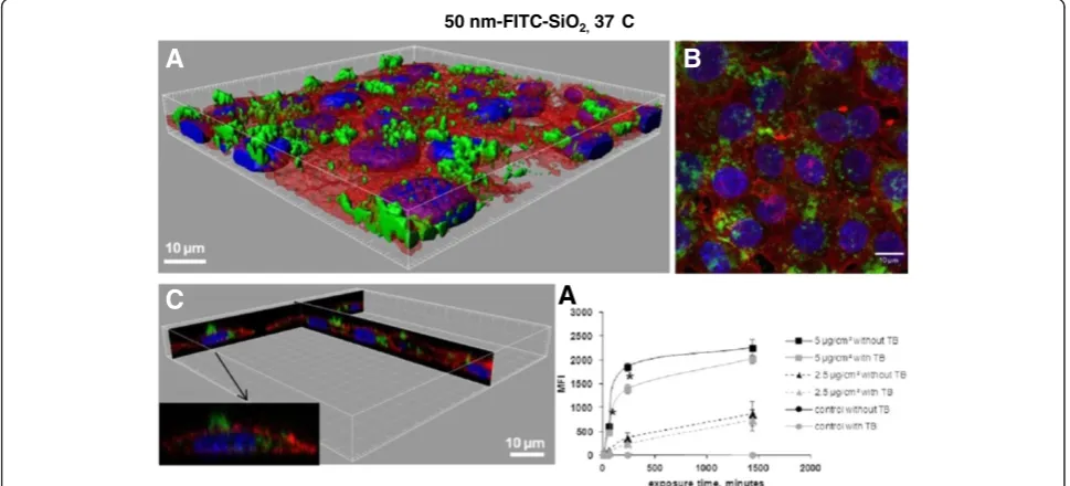 Figure 3 Determination of 50 nm-FITC-SiO2 uptake in NCI-H292 cells by flow cytometry and confocal microscopy