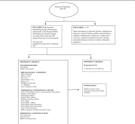 Fig. 1 Flow chart of study protocol. ACR = American College of Rheumatology, ESR = Erythrocyte sedimentation rate, CRP = C-reactive protein,RF = Rheumatoid Factor, DAS28 = Disease Activity Score 28, SDAI = Simple Disease Activity Index, DMARDS = Disease-modifying antirheumaticdrug, CAL = clinical attachment loss, PD = Pocket Depth, DKK = Dickkopf-related protein 1, HAQ = Health assessment questionnaire disability index