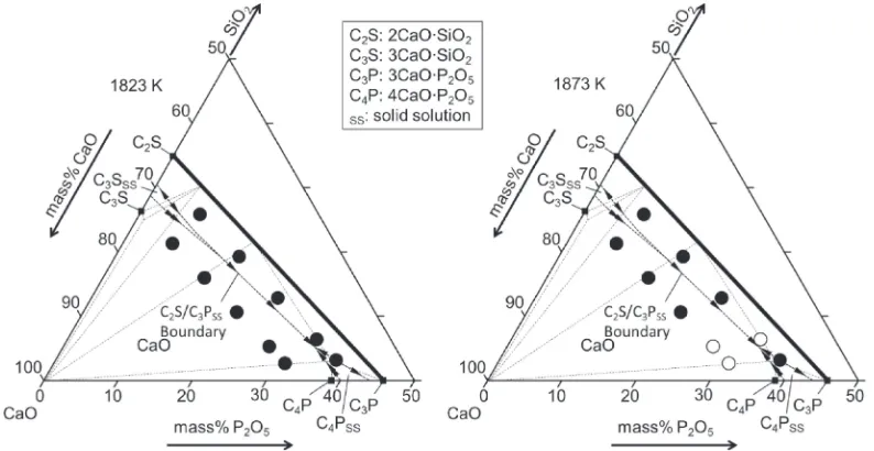Fig. 2Projection of initial compositions of tablets onto the CaO-SiO2-P2O5 ternary phase diagram near the CaO corner