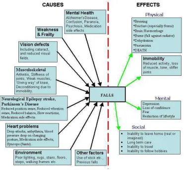 FIGURE 4 :   CAUSES AND EFFECTS OF FALLS 
