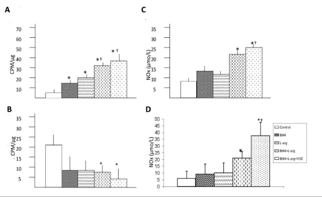 Figure 2. Effects of BH4, ceiving BH4 + Data are means ± sd; n = 5. *p < 0.05 versus control; group
