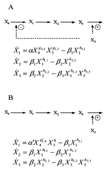 Figure 2Example mapping: pathways to S-systemsExample mapping: pathways to S-systems. The S-sys-tem framework provides for a straightforward mapping of biochemical pathway maps into systems of equations