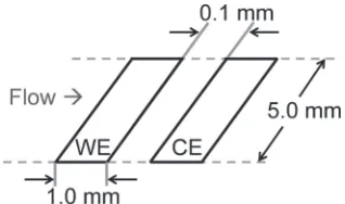 Fig. 1Schematic of a double electrode assembly.