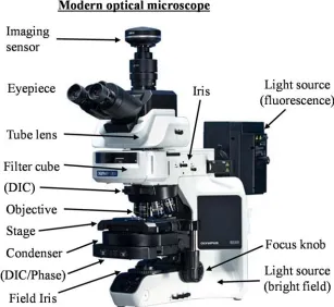 Figure 1.3: Configuration of modern optical microscope. 
