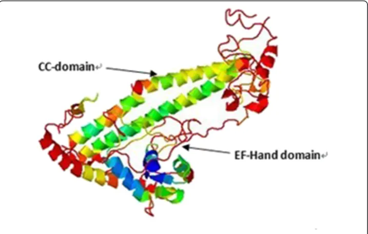 Figure 3 p42.3 protein expression analysis in different cell cycle.