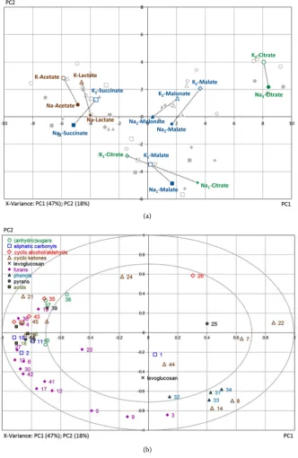 Figure 3. Scores (above) and Correlation Loadings (below) Plots of the pyrolysis data from papers samples impregnated with various anionic salt solutions without reference samples