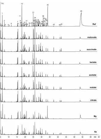 Figure 1. Pyrograms of papers impregnated with water (reference “Ref”), with acetate solutions of sodium (Na) and magnesium (Mg), and the sodium salts of mono, di, and triprotic organic acids