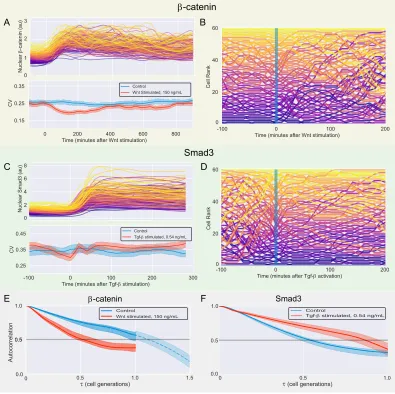 Figure 2.6: Signaling aﬀects variability and memory of second molecules(A,C) Top: Traces of normalizedng/mL Wnt3aover the same time period (red), contrasted with cells without ligand stimulation(blue).(B,D) Cell traces ofaddition