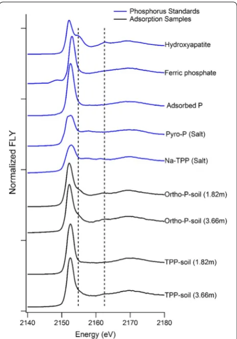 Fig. 2 Phosphorus XANES spectra of the short-term (48 h) reaction of TPP and ortho-P with calcareous soils from two (1.82 and 3.66 m) depths of the study site