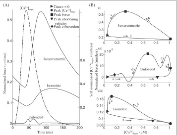 Figure 6 Comparison of twitch responses. Twitch responses - A comparison between three types ofplots of normalized force versus the instantaneousof the three cases with an overlay of normalized [cases