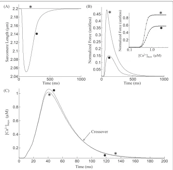Figure 7 Feedback length effects. Feedback of internal shortening on myoplasmic [Ca2+]myo transient