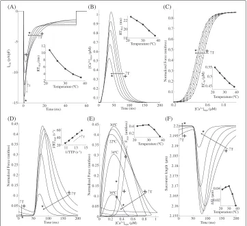 Figure 9 Temperature dependence of twitch response. Isometric twitch response (KSE = 10.0) fortemperature