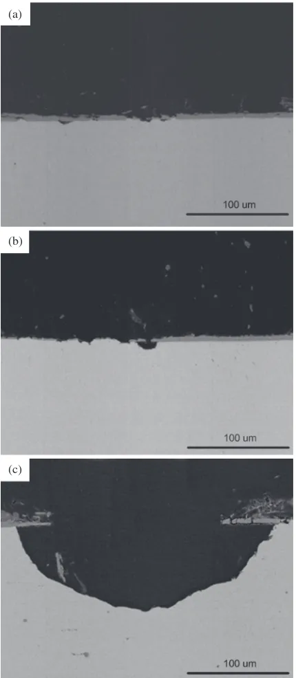 Fig. 8SEM cross-sectional images of pitting corrosion of aluminized 409Lstainless steel after immersion test: (a) 21 days, (b) 70 days and (c) 140days.
