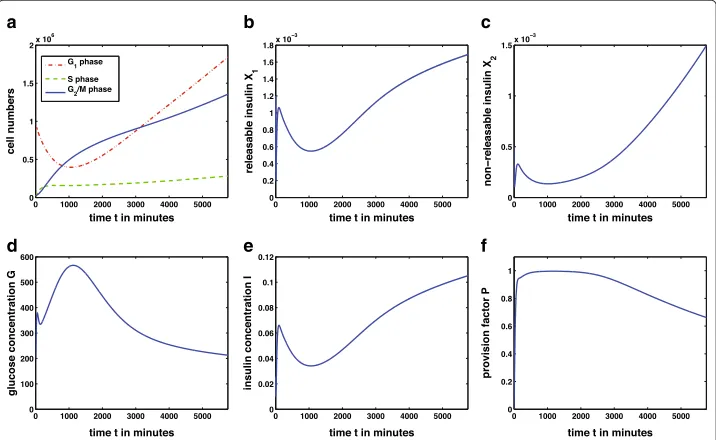Figure 6 Solution of the complete model over 96 hours. The simulation presents an experimentalsituation with high glucose infusion over 96h