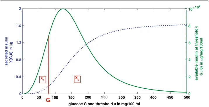 Figure 4 Initial distribution in the storage and compartments X(dashed line) is the whole amount of insulin releasable by the pancreas at glucose concentrationintegral over the initial packet distribution1 and X2