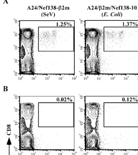 FIG. 5. Antigenicity of e-�were performed using a Nef138-10-speciﬁc CTL clone derived from anHIV-1 infected individual