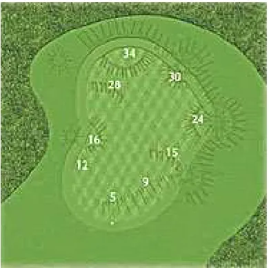 Figure 2.8 The first green layout at Hope Island Golf Club 