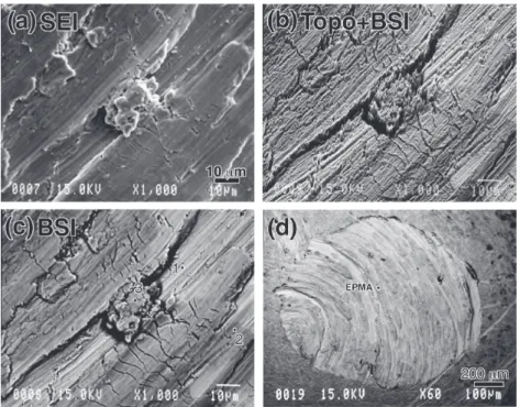Fig. 7 SEM images of the worn surfaces of CP Ti and its counterface tested in deionized water; (a) SE image, (b) Topo + BS, (c) BS images of CP Ti, and (d) BS image of the counterface