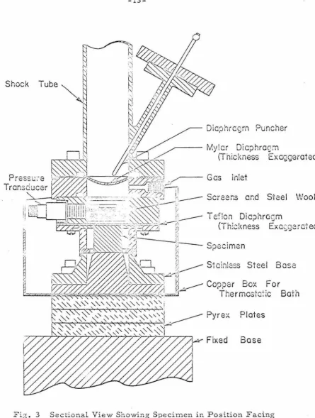Fig. 3 Sectional View Showing .Specimen in Position Facing End of Shock Tube. 