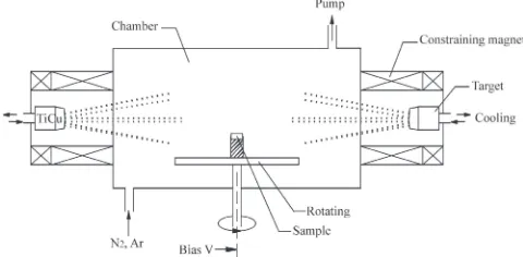 Fig. 1Schematic diagram of the TRIO arc ion plating system.