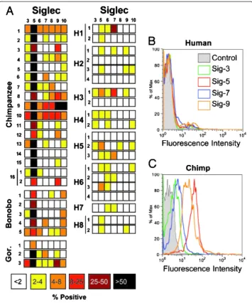 Figure 1 Variation in sialic acid (Sia)-recognizing Ig-superfamily lectins among primates.and Siglec-9 (y axis: normalized cell numbers expressed as percent of maximum cell number detected)