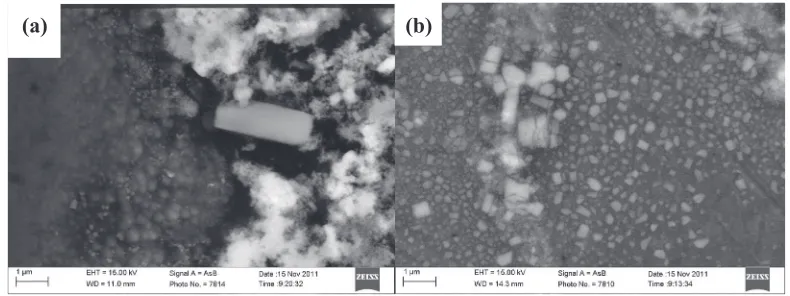 Fig. 2SEM images of TiB2 particles in as-cast aluminum based composite materials; (a) 3%TiB2/7075, (b) 9%TiB2/7075.