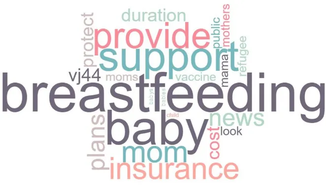 Figure 1. Word cloud of the #breastfeeding data collected using the DiscoverText software