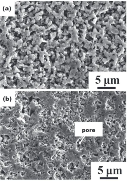 Fig. 7Microstructure of sintered compacts; (a) As received ﬁne powderscompact, Cv = 0.59, (b) coarse MM 360 ks powders compact, Cv = 2.06.