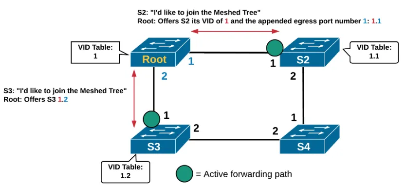 Figure 3.4: Initial VID Propagation in MTP