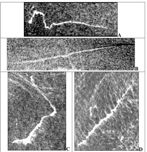 Fig. 3. Partition function vs. area value in a bi-log plot: for 21 January 1998 at Gibraltartrend perfectly explained by the resolution of the image
