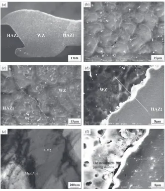 Fig. 3Microstructures of Mg-steel direct joint: (a) joint structure, (b) WZ, (c) HAZ1, (d) HAZ2, (e) TEM image of Mg17Al12,(f ) discontinuous transition layer.