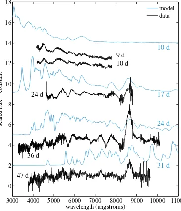 Figure 4.7: Time series of selected synthetic spectra of our ﬁducial ejecta model ofFigure 4.4 compared the observed data of SN 2010X showing the evolution of theoxygen line and other prominent features