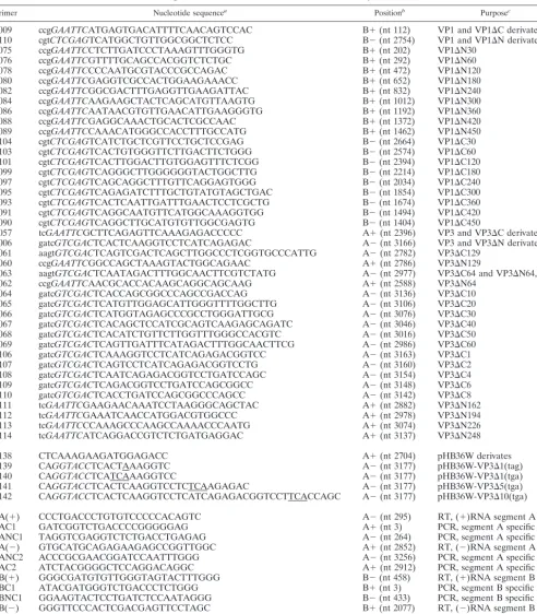 TABLE 1. Nucleotide sequences and positions of the primers used for VP1 and VP3 deletion mutagenesis, for the generation of mutantsegment A cDNA constructs, and for RT-PCR analysis