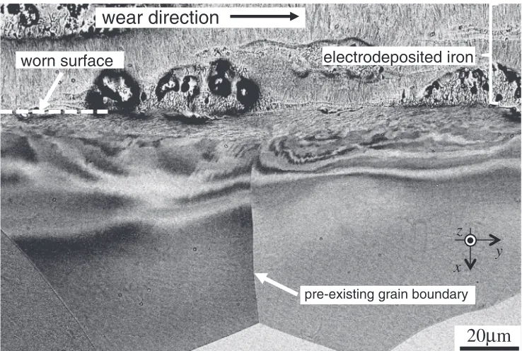 Fig. 2A BSE image of microstructure developed below surface of the worn iron.