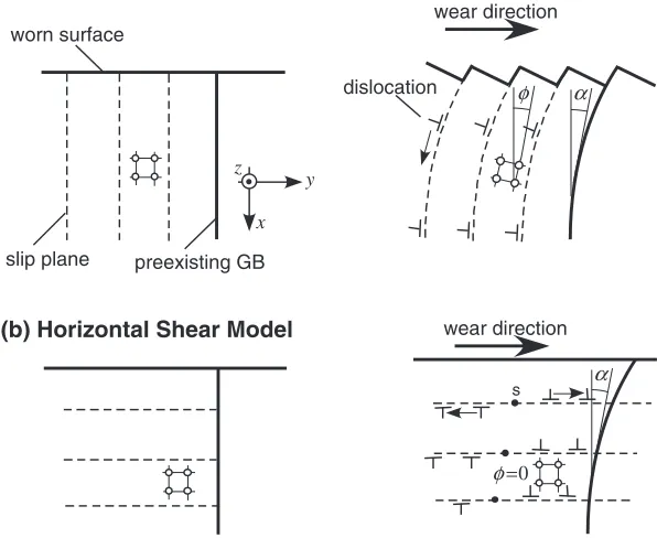 Fig. 7Deformation models during the sliding wear test, which assume (a) vertical and (b) horizontal shear deformation.