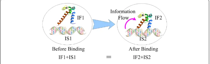 Figure 1 Information transferred from TFBS to TF during binding. In this figure, we assume thetranscription factor and its binding site are a stand-alone system.
