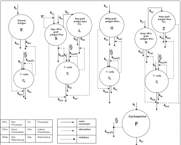 Figure 2 Model block diagram. State variables are represented with circles, the above ones for the differentantigen types, the bottom ones for specific T-cells