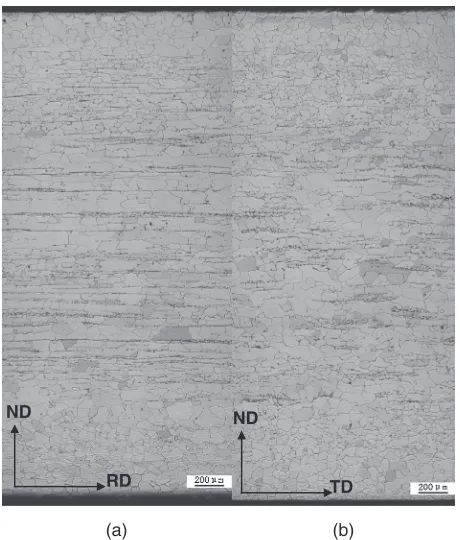Fig. 4Microstructure of decarburization annealed sheet.