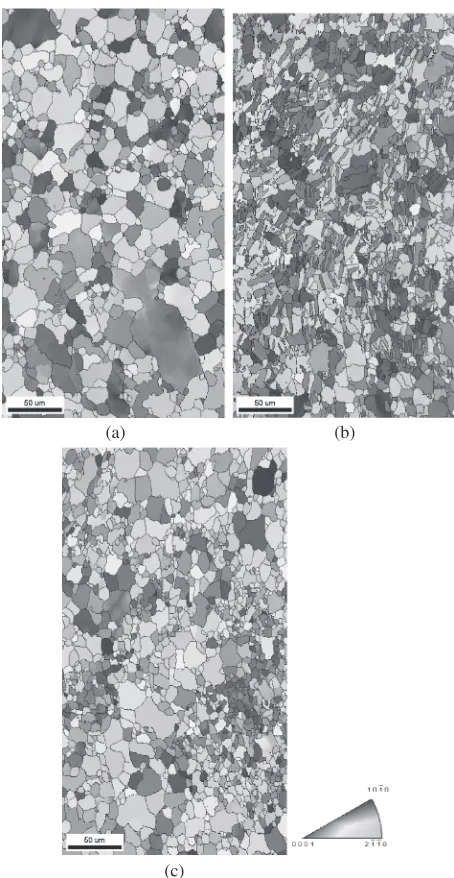 Fig. 9Comparison of the initial microstructures in OIM maps: (a) as-extruded; (b) twin induced; (c) DRX induced.