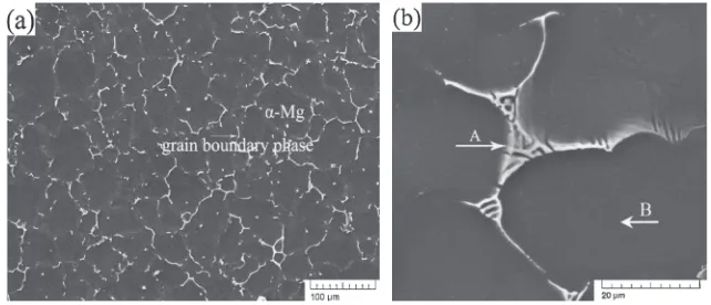 Fig. 3(a) SEM image of the as-cast sample; (b) its high-magniﬁcation microstructure of the eutectic compounds.