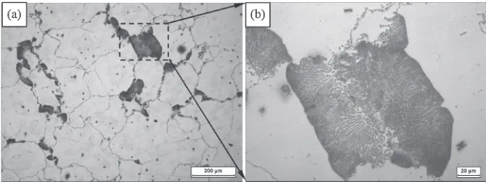 Fig. 1Optical microscope images of as-homogenized AZ80 alloy specimen, and (b) magniﬁed micrographs signed by the rectangularframe in (a).