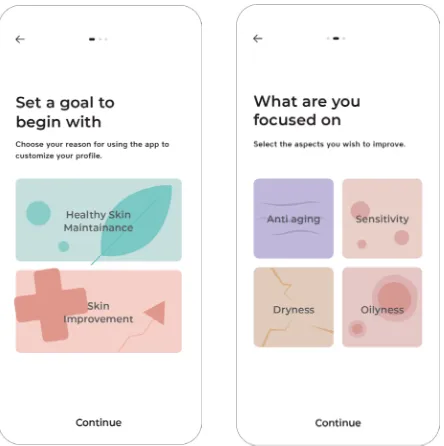 Figure 2. User customization process