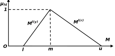 Figure 1. “Triangular fuzzy number M”. 