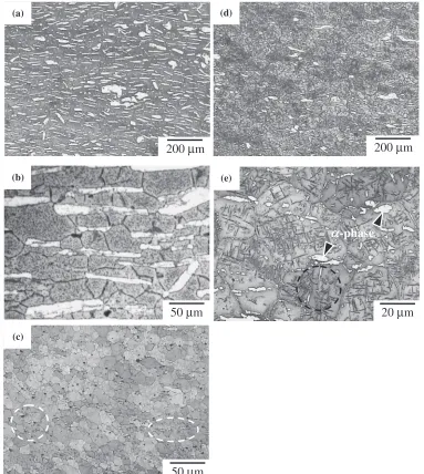 Fig. 2Optical microstructures of (a) the extruded LAZ931-F base metal and (b) high magniﬁcation micrograph of ¡/¢-phases