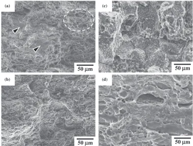 Fig. 7An illustration of the failure friction stirred LAZ931 specimens witha tensile testing direction perpendicular to the PD.
