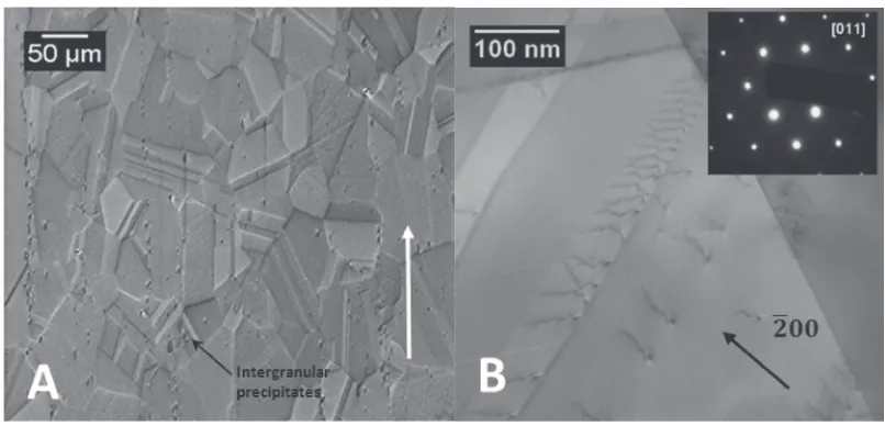 Fig. 1(a) Low magniﬁcation SE SEM image of the equiaxed grain structure randomly decorated with precipitates